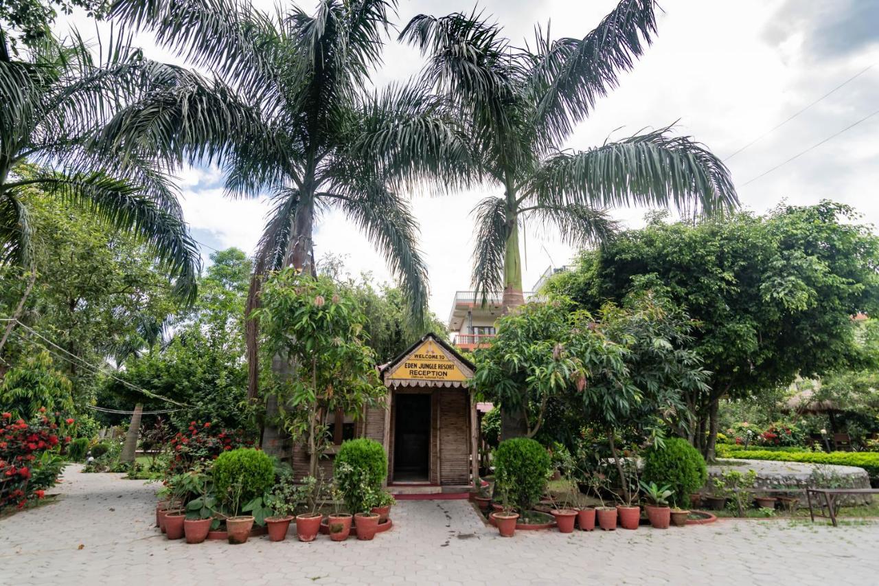 Eden Jungle Resort 사우라하 외부 사진