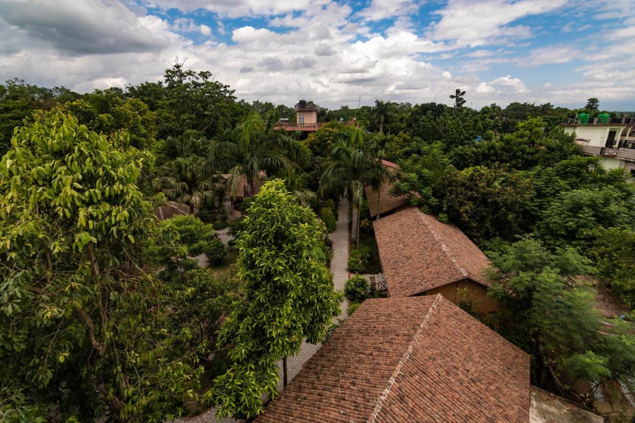 Eden Jungle Resort 사우라하 외부 사진